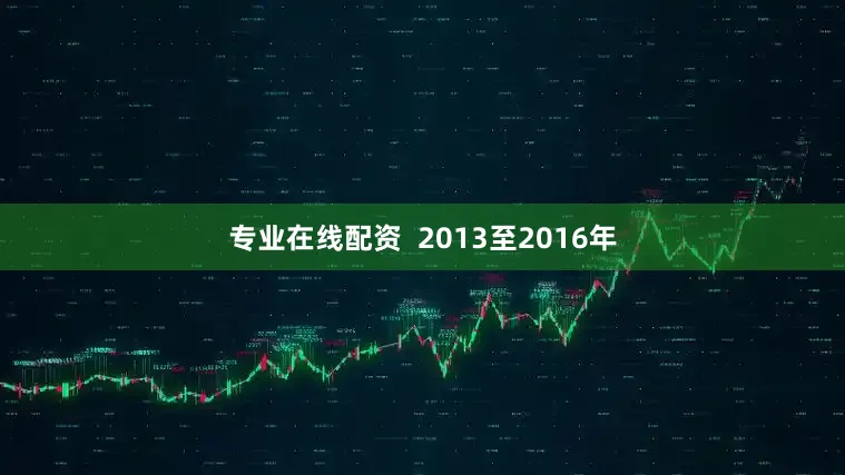 专业在线配资  2013至2016年